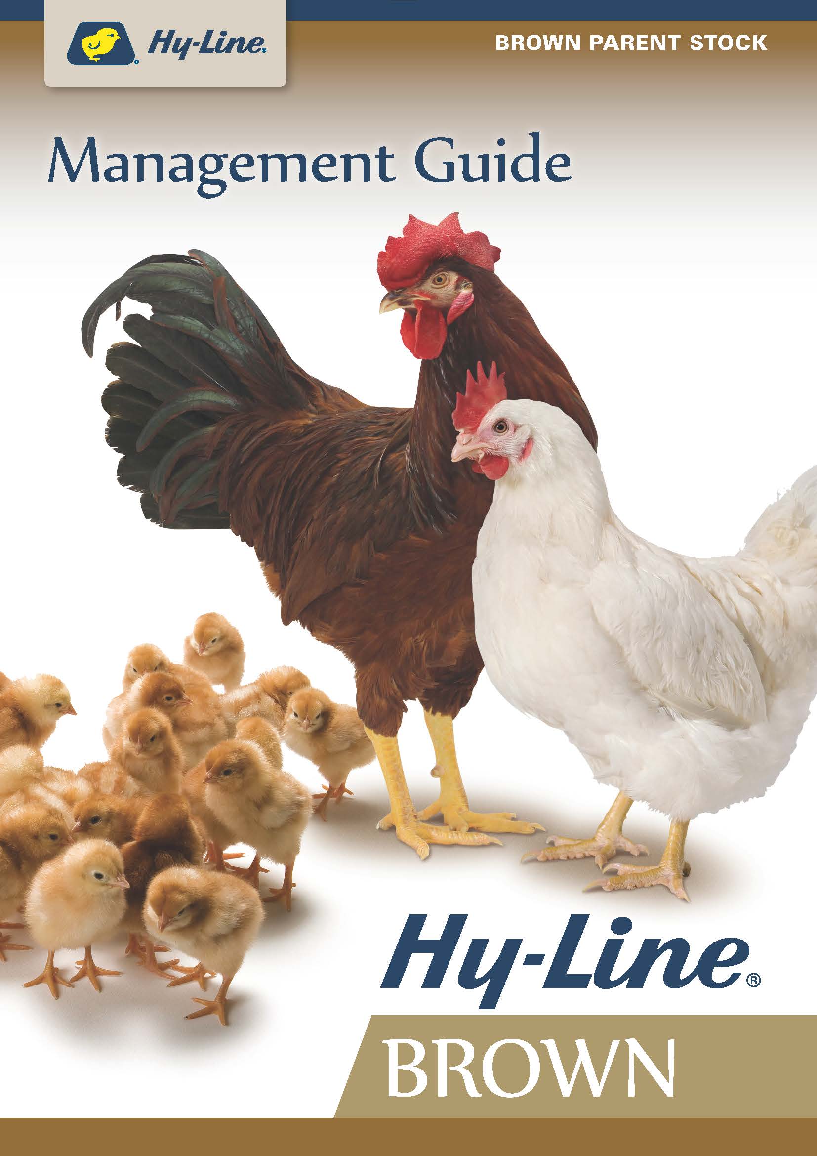Hy-Line Brown: The World's Most Balanced Brown Egg Layer